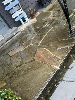 IMG_4747 - copy (1).JPEG IMG_4747 - copy (1).JPEG